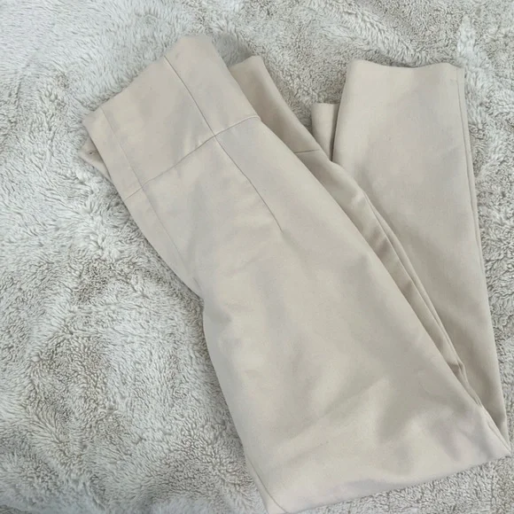 Zara | Cinched Waist Pants | Lightly Used - Picture 2 of 2